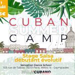 CUBAN SUMMER CAMP PAYSAGE BAILACUBANO
